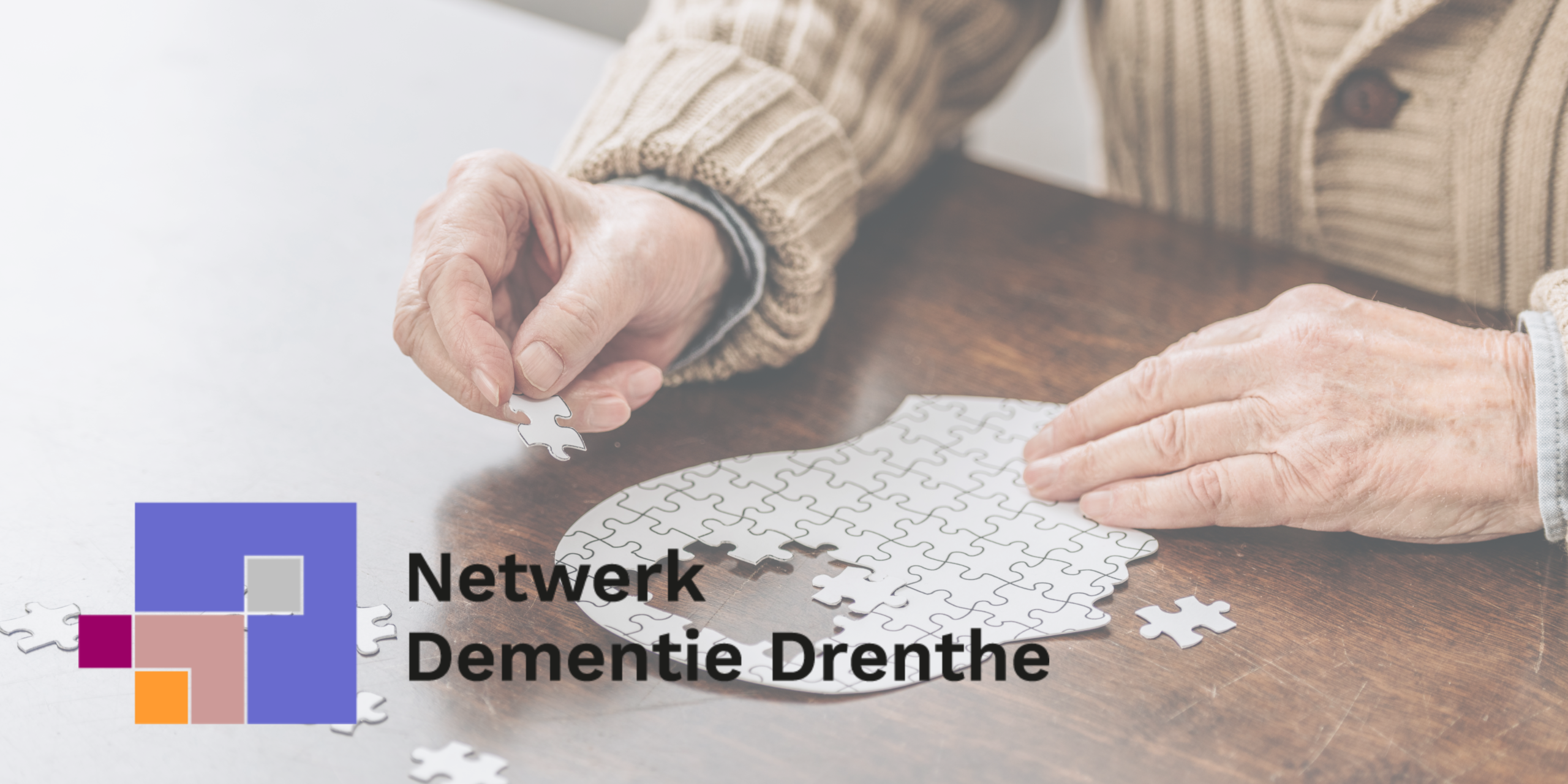 Lees meer over het artikel Netwerk Dementie Drenthe